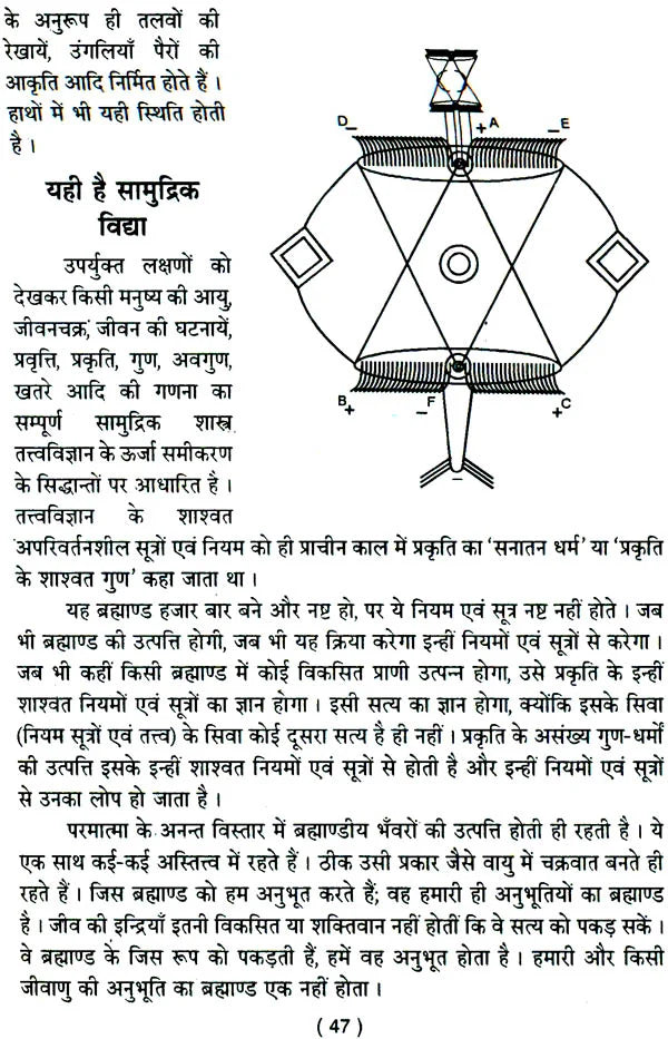 प्राचीन सामुद्रिक शास्त्र: Samudrik Shastra (Set of 2 Volumes) - Retail Maharaj