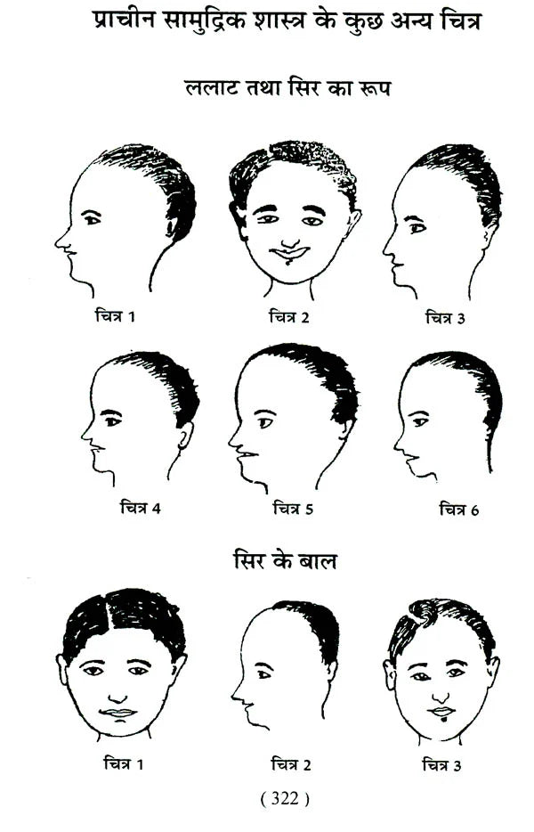 प्राचीन सामुद्रिक शास्त्र: Samudrik Shastra (Set of 2 Volumes) - Retail Maharaj