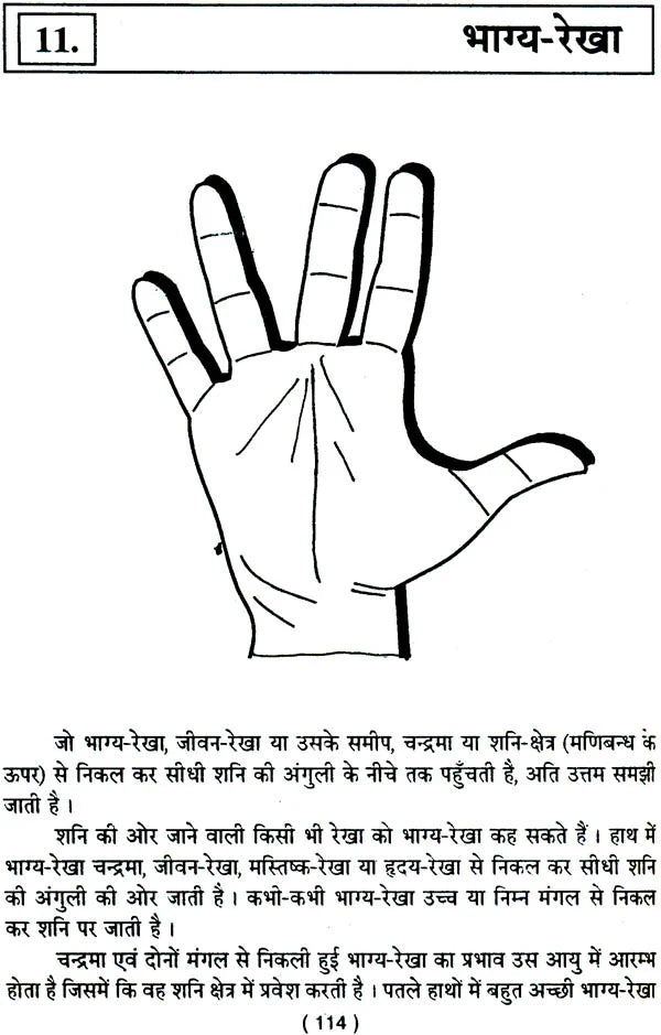 प्राचीन सामुद्रिक शास्त्र: Samudrik Shastra (Set of 2 Volumes) - Retail Maharaj