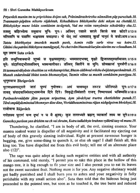 श्रीगणेशमहापुराणम्: Shri Ganesha Mahapuranam (Set of 3 Volumes) - Retail Maharaj
