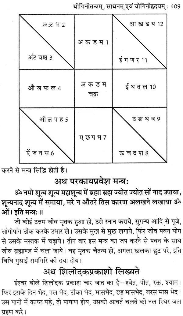 योगिनी तन्त्र योगिनी- महायक्षिणीसाधन एवं योगिनीहृदय: Yogini Tantra Yogini (Mahayakshini Sadhana and Yoginihridiya) - Retail Maharaj