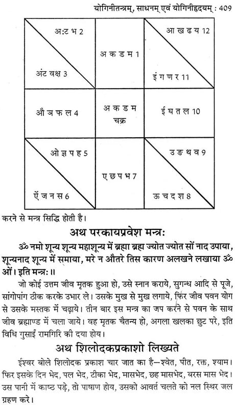 योगिनी तन्त्र योगिनी- महायक्षिणीसाधन एवं योगिनीहृदय: Yogini Tantra Yogini (Mahayakshini Sadhana and Yoginihridiya) - Retail Maharaj