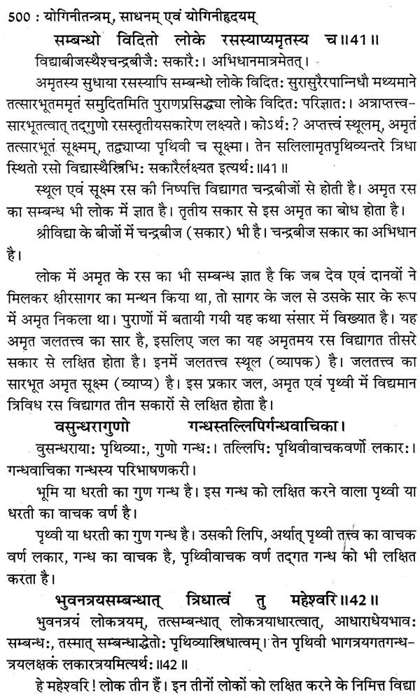 योगिनी तन्त्र योगिनी- महायक्षिणीसाधन एवं योगिनीहृदय: Yogini Tantra Yogini (Mahayakshini Sadhana and Yoginihridiya) - Retail Maharaj