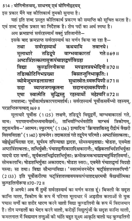 योगिनी तन्त्र योगिनी- महायक्षिणीसाधन एवं योगिनीहृदय: Yogini Tantra Yogini (Mahayakshini Sadhana and Yoginihridiya) - Retail Maharaj