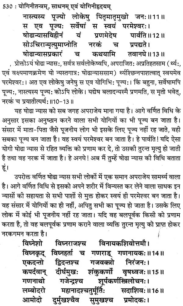 योगिनी तन्त्र योगिनी- महायक्षिणीसाधन एवं योगिनीहृदय: Yogini Tantra Yogini (Mahayakshini Sadhana and Yoginihridiya) - Retail Maharaj