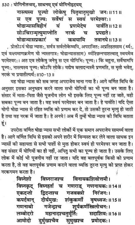 योगिनी तन्त्र योगिनी- महायक्षिणीसाधन एवं योगिनीहृदय: Yogini Tantra Yogini (Mahayakshini Sadhana and Yoginihridiya) - Retail Maharaj