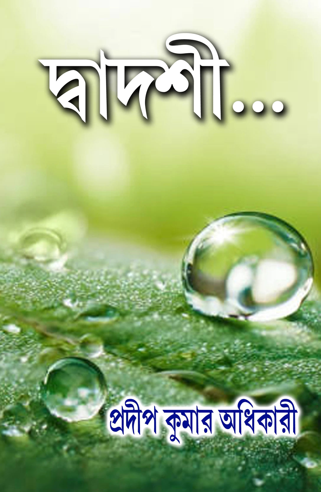 DADASHI (Bengali Version) - Retail Maharaj