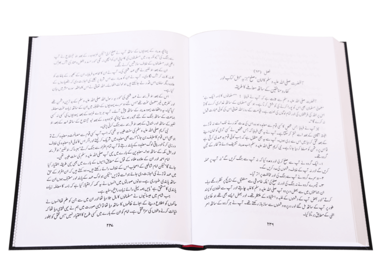 Abridged Zaad-ul-Ma’ad (مختصر زاد المعاد) - Retail Maharaj