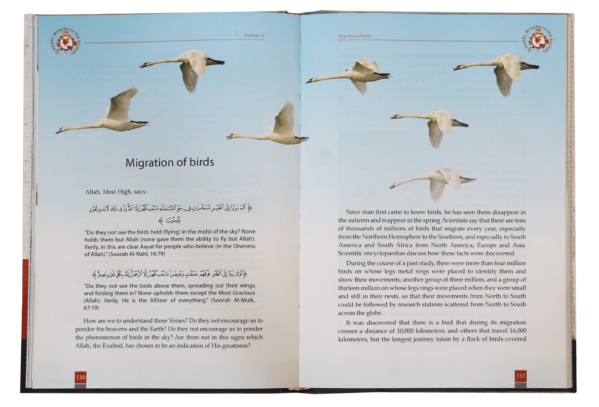 Scientific Miracles in Oceans and Animals - Retail Maharaj