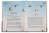 Scientific Miracles in Oceans and Animals - Retail Maharaj