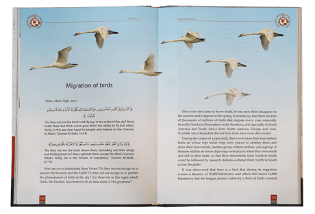 Scientific Miracles in Oceans and Animals - Retail Maharaj
