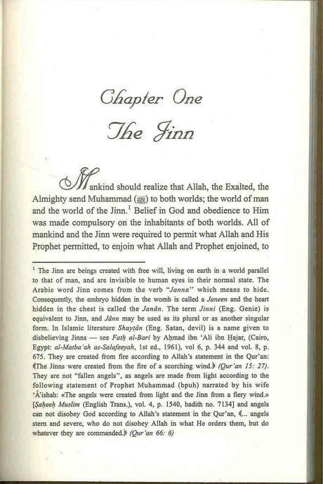 The Freedom of Opinion In Islam - Retail Maharaj