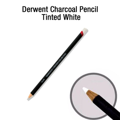 Derwent Tinted White Charcoal Pencil for Drawing and Highlighting - Retail Maharaj