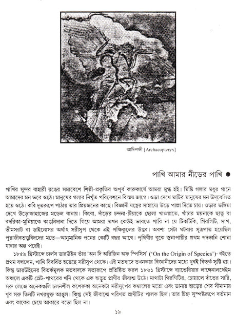 BANGLAR PAKHI - Retail Maharaj