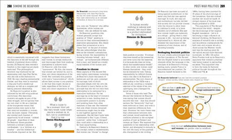Politics Book ( Big Ideas) - Retail Maharaj