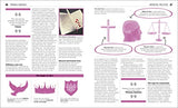 Politics Book ( Big Ideas) - Retail Maharaj