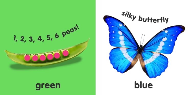 Baby Touch and Feel Colours and Shapes [Board book] DK - Retail Maharaj