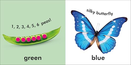 Baby Touch and Feel Colours and Shapes [Board book] DK - Retail Maharaj