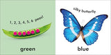 Baby Touch and Feel Colours and Shapes [Board book] DK - Retail Maharaj