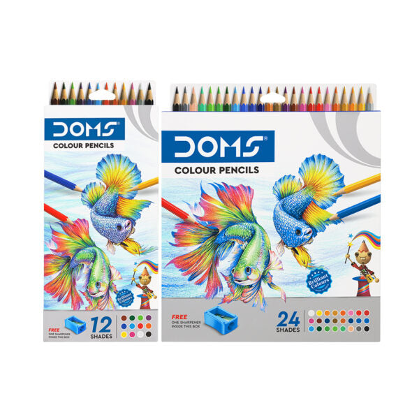 DOMS Colour Pencil Set – 12 & 24 Shades - Retail Maharaj