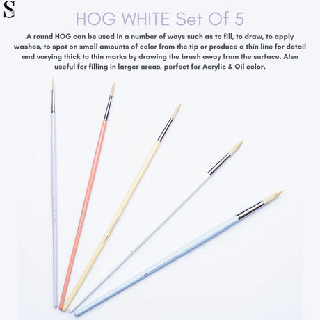 Retail Maharaj Hog Brush Set of 5 Flat Long Handle - Retail Maharaj