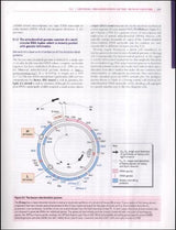 Human Molecular Genetics - Retail Maharaj