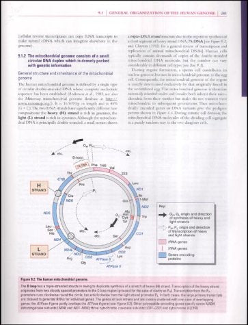 Human Molecular Genetics - Retail Maharaj