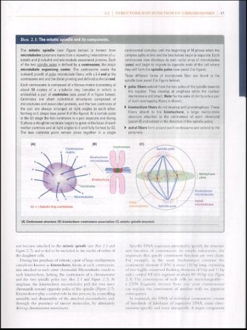 Human Molecular Genetics - Retail Maharaj