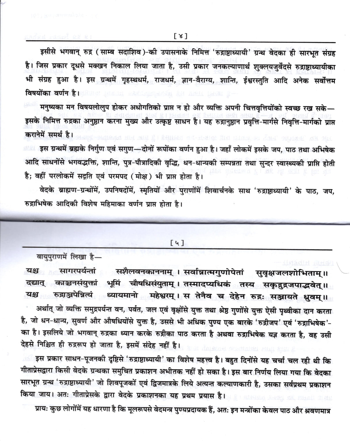 Rudrashtadhyayi [Hindi Sanskrit] - Retail Maharaj