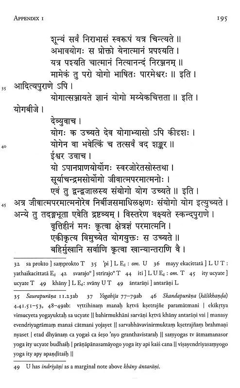 Asanas of the Yogacintamani – The Largest Premodern Compilation on Postural Practice - Retail Maharaj