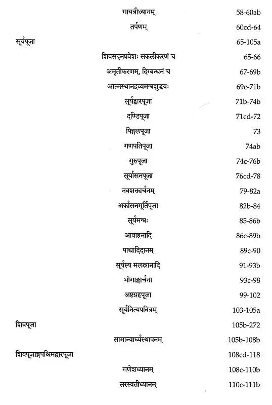 Natarajapaddhati of Ramanathasiva – A First Critical Edition of the Earliest Saivapaddha Composed in the Tamil Country (Vol. 1, Nityavidhi) - Retail Maharaj