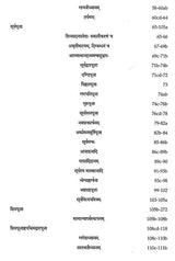 Natarajapaddhati of Ramanathasiva – A First Critical Edition of the Earliest Saivapaddha Composed in the Tamil Country (Vol. 1, Nityavidhi) - Retail Maharaj