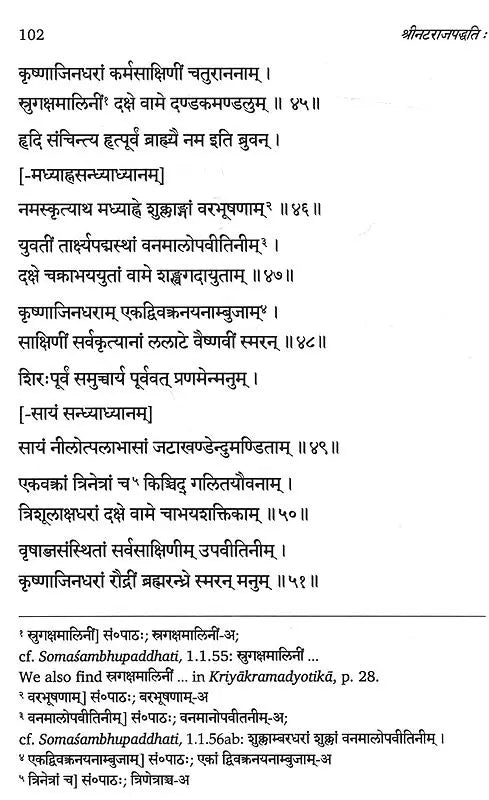 Natarajapaddhati of Ramanathasiva – A First Critical Edition of the Earliest Saivapaddha Composed in the Tamil Country (Vol. 1, Nityavidhi) - Retail Maharaj