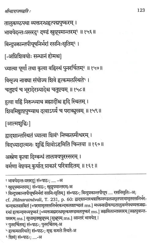 Natarajapaddhati of Ramanathasiva – A First Critical Edition of the Earliest Saivapaddha Composed in the Tamil Country (Vol. 1, Nityavidhi) - Retail Maharaj