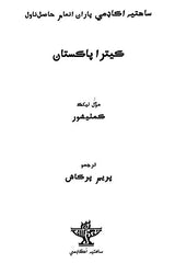 کیترا پاکستان: Ketra Pakistan- Sahitya Akademi-Award Winning Hindi Novel 'Kitne Pakistan' (Sindhi) - Retail Maharaj