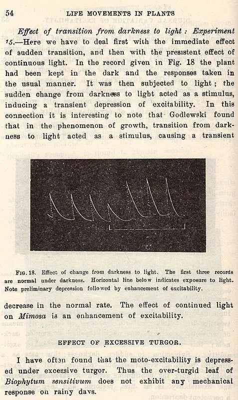 Life Movements in Plants