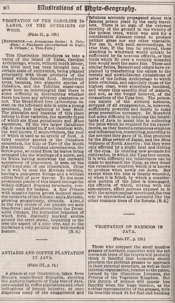 The Encyclopaedia or the Treasury of Botany of The Vegetable Kingdom with Glossary of Botanical Terms