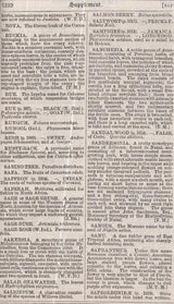 The Encyclopaedia or the Treasury of Botany of The Vegetable Kingdom with Glossary of Botanical Terms