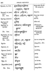 English-Tibetan Colloquial Dictionary (Second Edition of the Second Part of A Manual of Colloquial Tibetan)