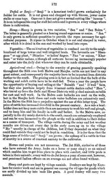 The Sikhs - An Ethnology (Revised at the Request of the Government of India)