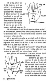 सुबोध हस्त रेखा: Clear Palm Line - Retail Maharaj