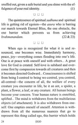 Ego - Retail Maharaj