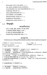 Vidhiviveka of Mandanamisra with its Commentary Nyayakanikā of Vacaspatimiśra and its Commentaries Jusadhvankarani and Svaditaṅkarani of Paramesvara (Set of 2 Volumes) - Retail Maharaj