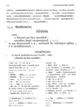 Vidhiviveka of Mandanamisra with its Commentary Nyayakanikā of Vacaspatimiśra and its Commentaries Jusadhvankarani and Svaditaṅkarani of Paramesvara (Set of 2 Volumes) - Retail Maharaj