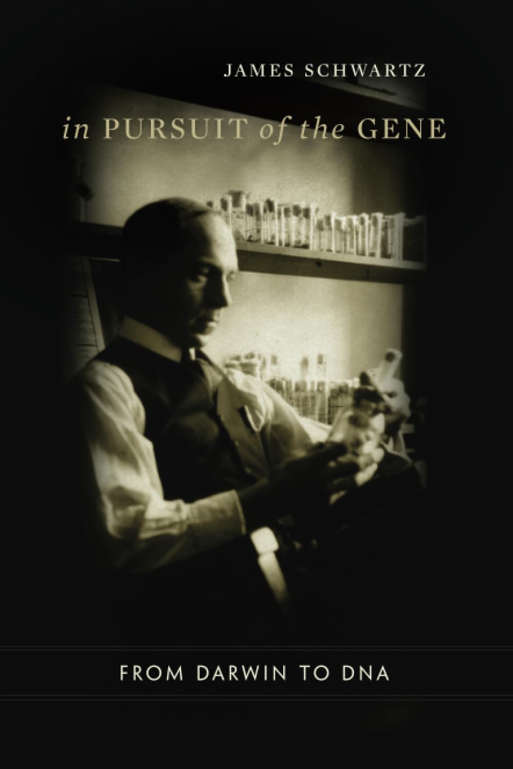 IN PURSUIT OF THE GENE: FROM DARWIN TO DNA - Retail Maharaj