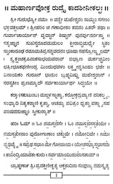 ರುದ್ರಯಜನಮ್: Rudrayajanam (Kannada) - Retail Maharaj