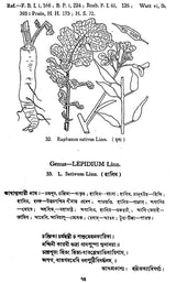 ভারতীয় বনৌষধি (সচিত্র): Indian Herbal Medicine Illustrated (Set of 6 Volumes)