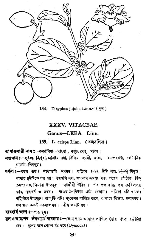 ভারতীয় বনৌষধি (সচিত্র): Indian Herbal Medicine Illustrated (Set of 6 Volumes)