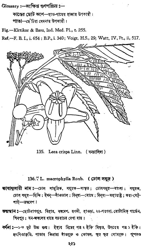 ভারতীয় বনৌষধি (সচিত্র): Indian Herbal Medicine Illustrated (Set of 6 Volumes)