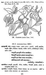 ভারতীয় বনৌষধি (সচিত্র): Indian Herbal Medicine Illustrated (Set of 6 Volumes)